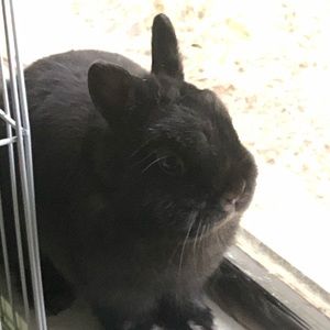 Meet your Posher, Daynelyn